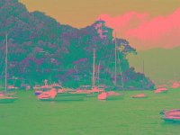 IMGP2617 edited (Medium)